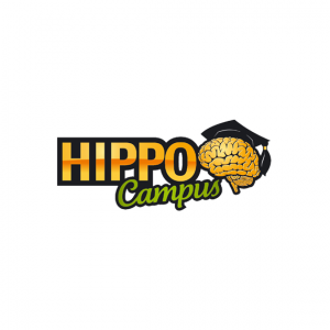 rema-logo-hippo-campus
